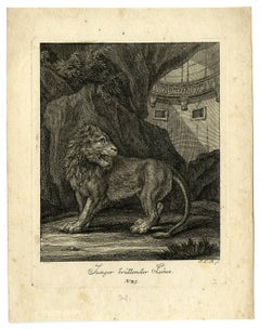 Junger brullender Lowe - Depiction of a young lion, roaring.