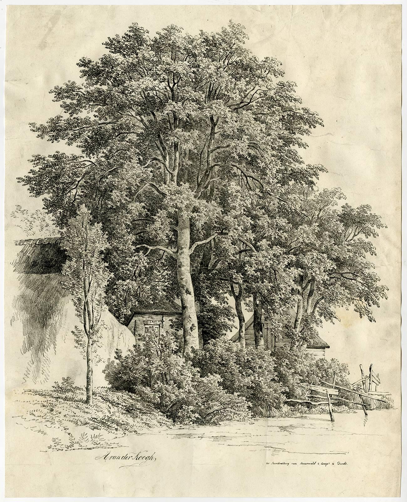 Adrianus van der Koogh Landscape Print - Untitled - Large view of a farmhouse and barn behind a copse of trees.