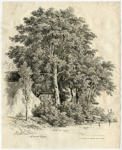 Untitled - Large view of a farmhouse and barn behind a copse of trees.