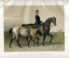 English Volblutt und Doppelpony - Fullbread-Horse Rider.