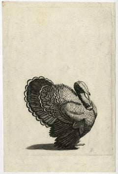 Antique Untitled - A turkey.