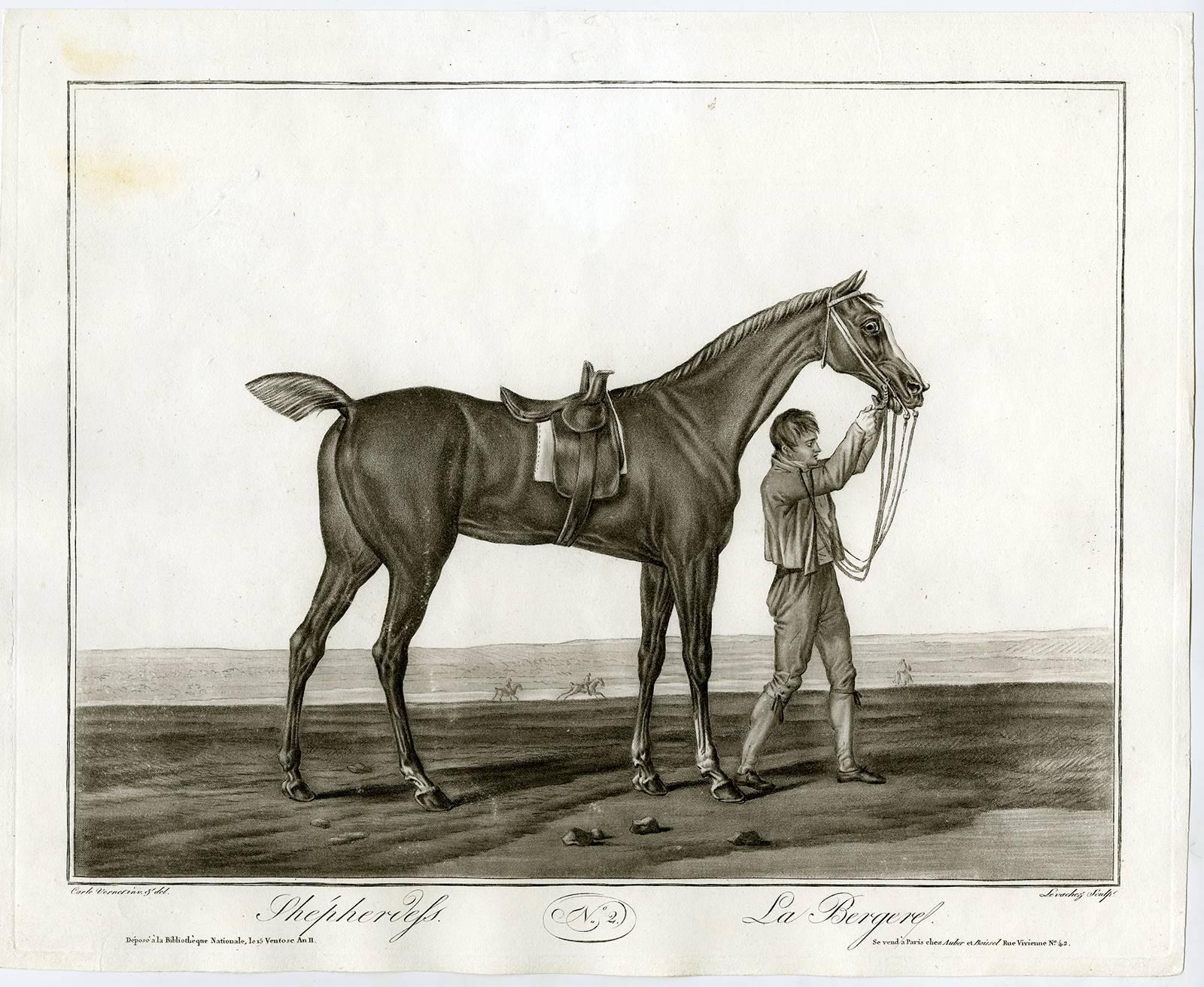 Charles Francois Gabriel Levachez Animal Print - Shepherdess, La bergere - Portrait of the horse Shepherdess.