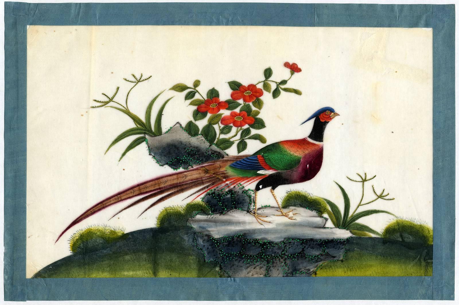 Unknown Animal Art - Untitled - A male pheasant and flowers.