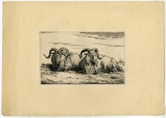 Untitled - Landscape with two rams.