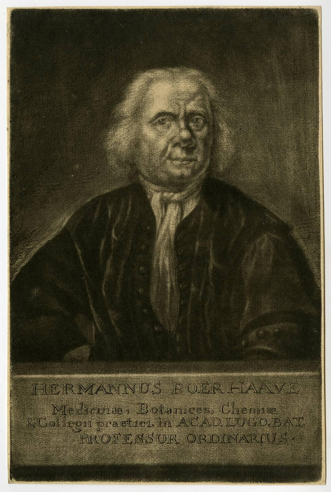 Jan de Groot Portrait Print - Hermannus Boerhaave [..] - Portrait of Hermanus Boerhaave. 