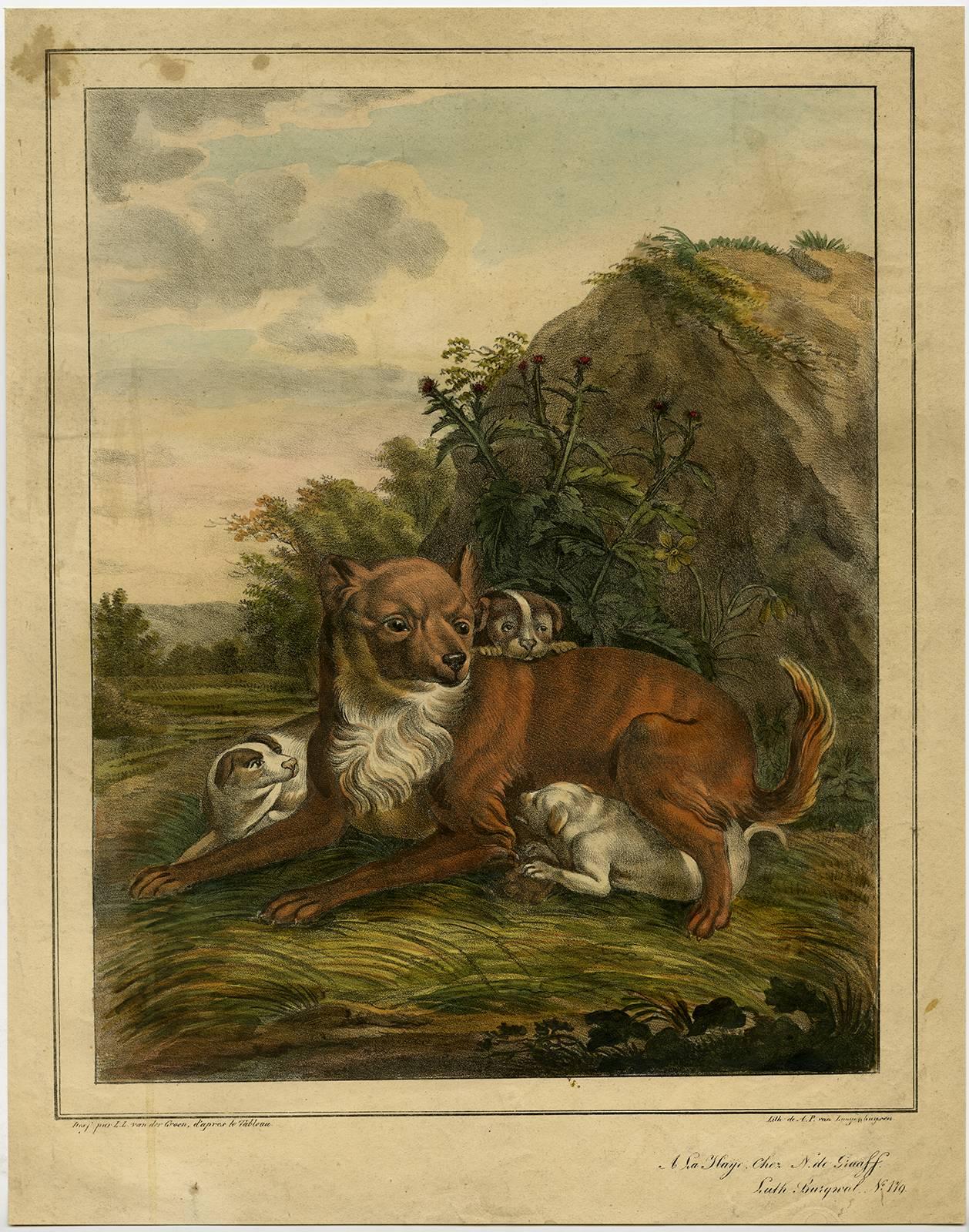 Lambert Cornelis van der Groen Animal Print - Untitled - A dog with puppies.