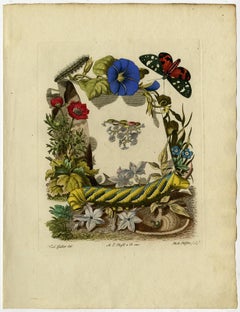 Highly decorative frontispiece to the described work.