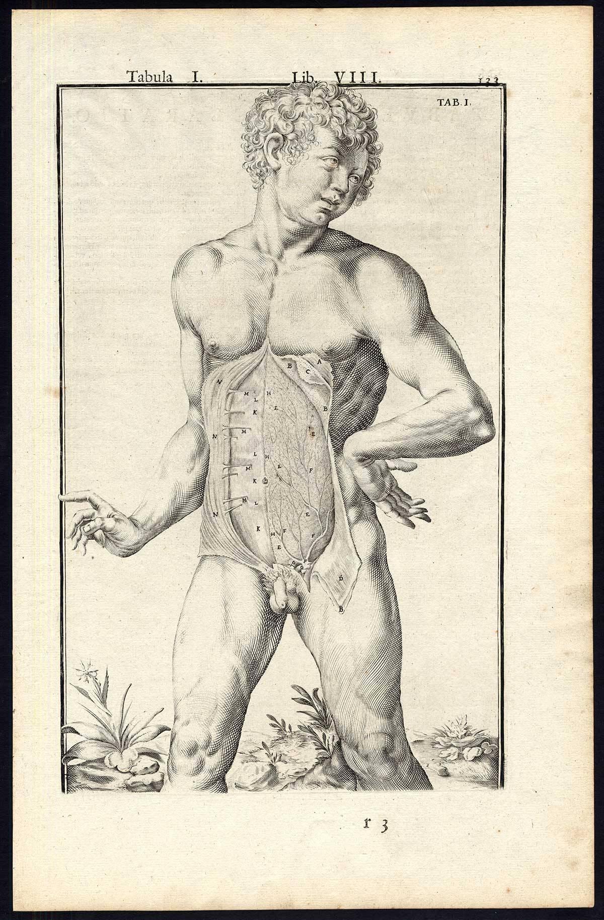 Adrianus Spigelius Print - Lib. VIII, Tab. I-III. Set of 3 plates.