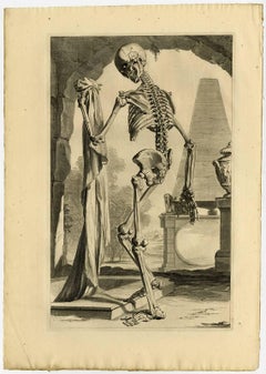 Used Untitled - Plate 88: This decorative anatomy plate shows a human skeleton.