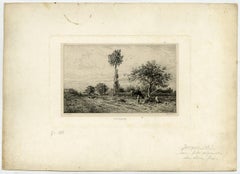 Paysage.