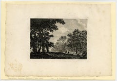 Untitled - Landscape with large trees.