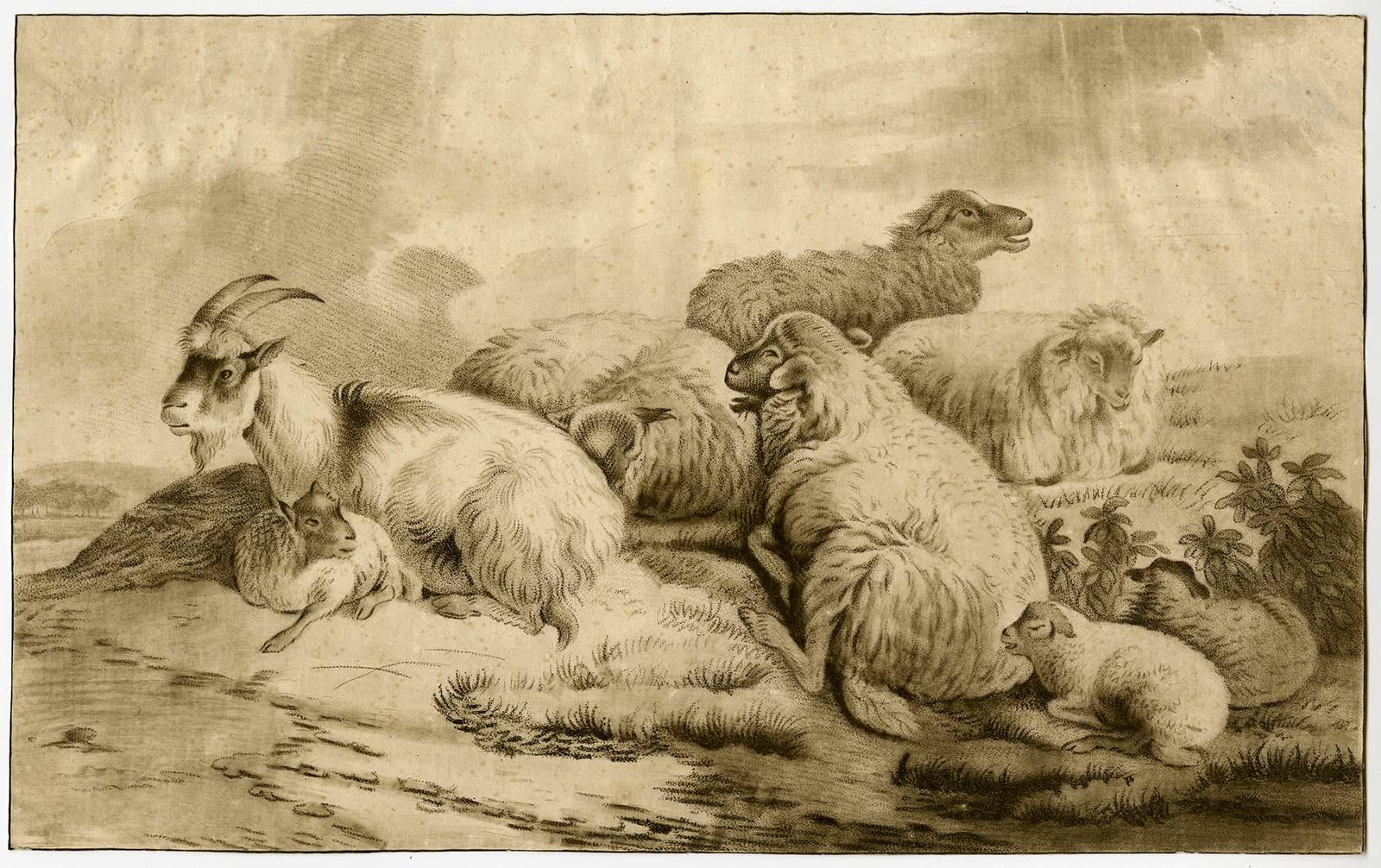 William Baillie Animal Print - Untitled - Goat and sheep in a landscape.