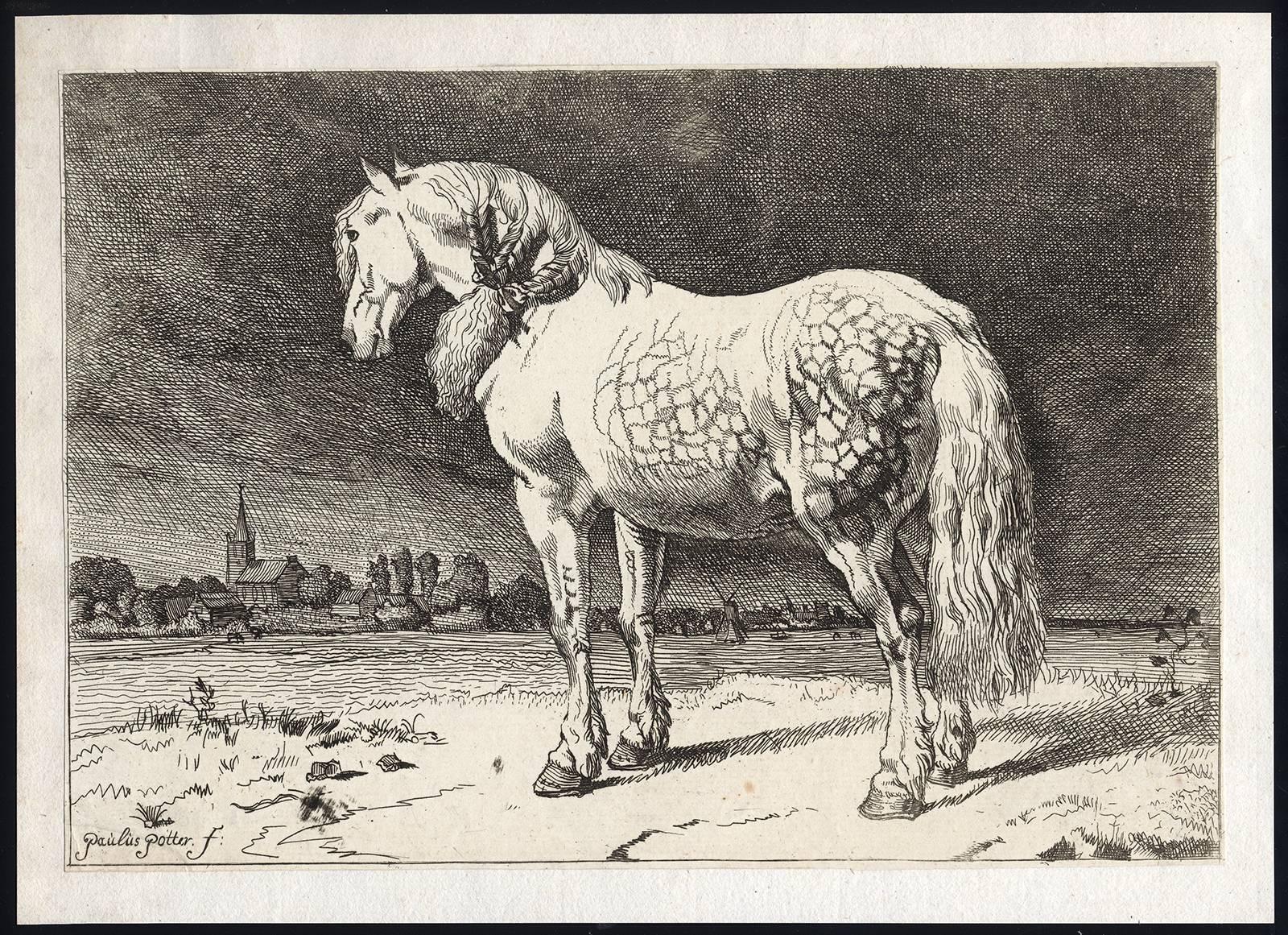 Set of 5 horses in landscape - Print by Paulus Potter