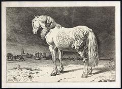 Set of 5 horses in landscape