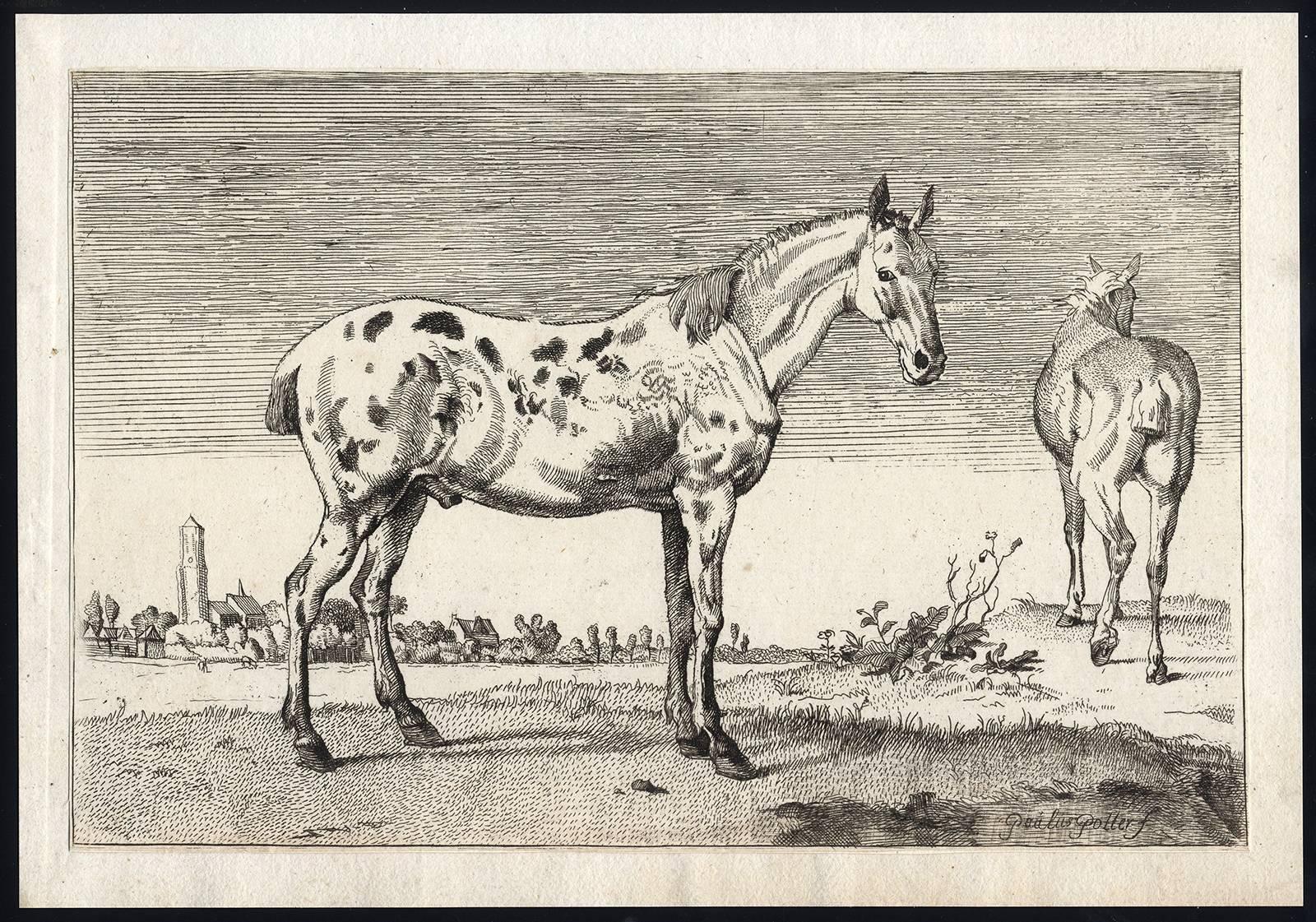 Set of 5 horses in landscape - Beige Animal Print by Paulus Potter