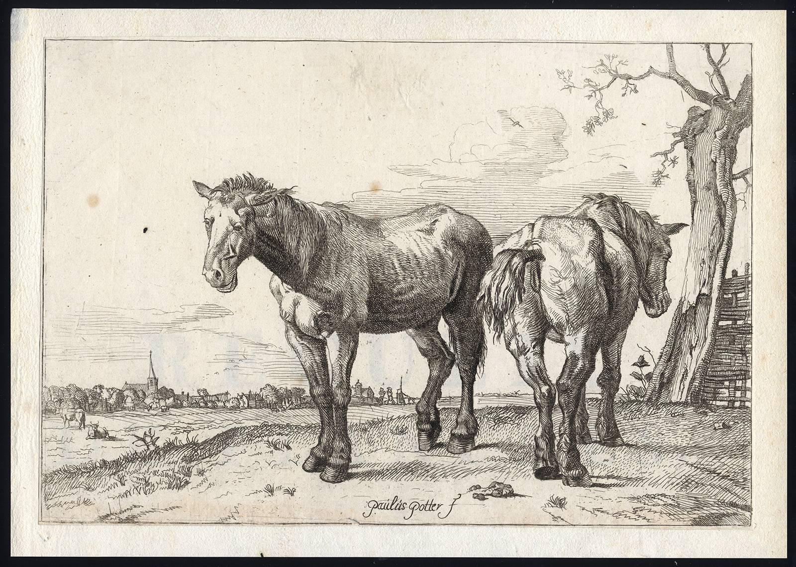 Set of 5 antique prints, untitled. All show horses in a landscape (including the Frisian horse). One the backgrounds shows the castle of Heemstede. The complete series of horses, copies in reverse. 
17th. Century etchings on hand laid paper with