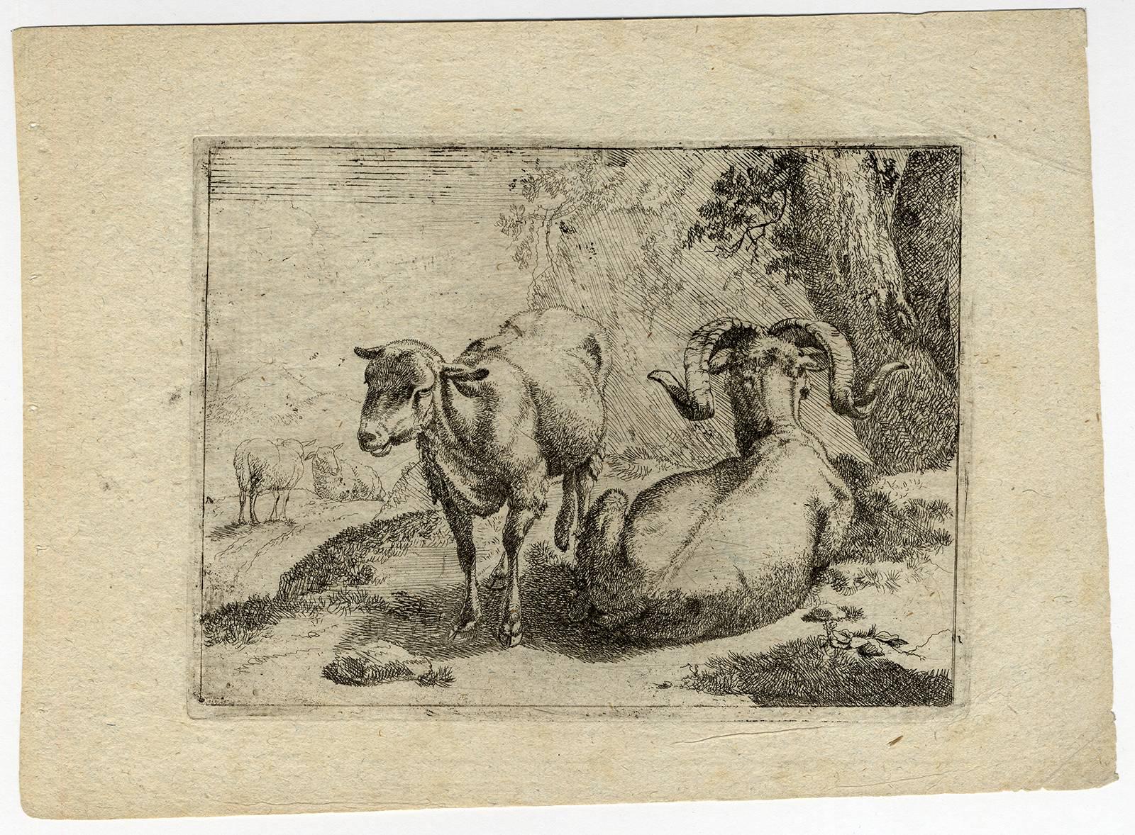 Johann Heinrich Roos's 'Tierbuchlein', a set of five animal prints and a title engraving. Interesting complete set, of which Hollstein mentions that no complete sets are known. This series is presented and numbered in the original order: 1) Title,