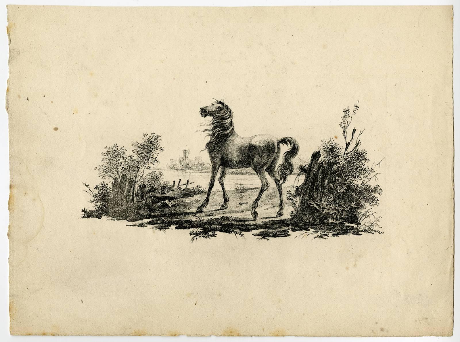 Etude de Cheveaux inventee & lithographie par Vinkeles et Bemme, Rotterdam 1825. - Beige Animal Print by Johannes Adriaansz Bemme