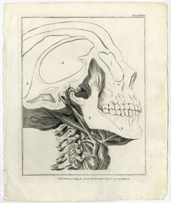 Historia naturalis dentium humanorum […].