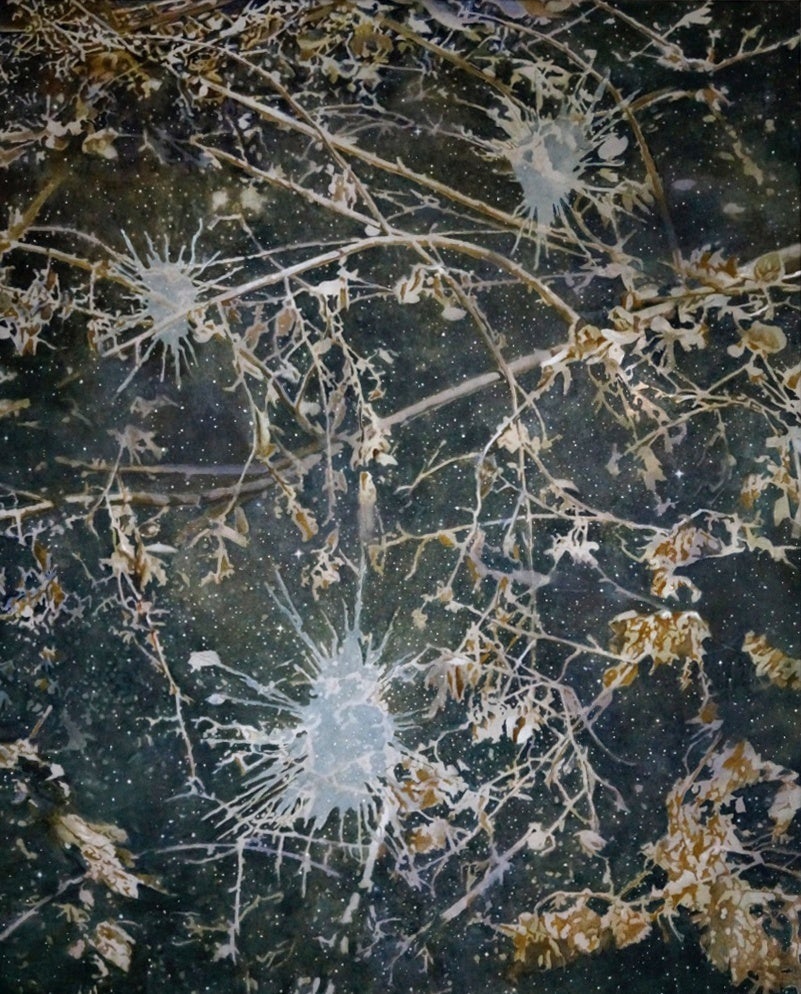 Jutta Haeckel Abstract Painting - Nothing happens in nature but for a reason