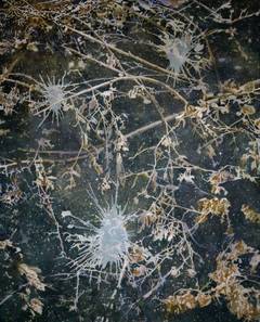 Nothing happens in nature but for a reason 11