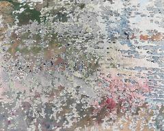 Graininess 1