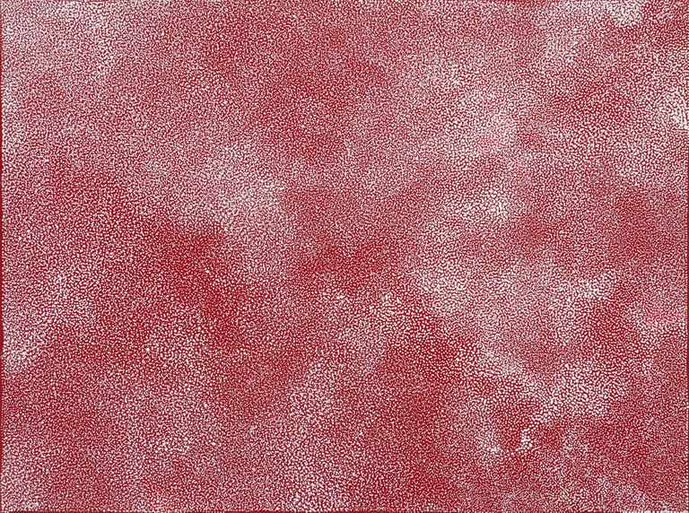Angelina Pwerle Abstract Painting - Bush plum (19-709)