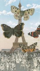 Paris- Butterflies I