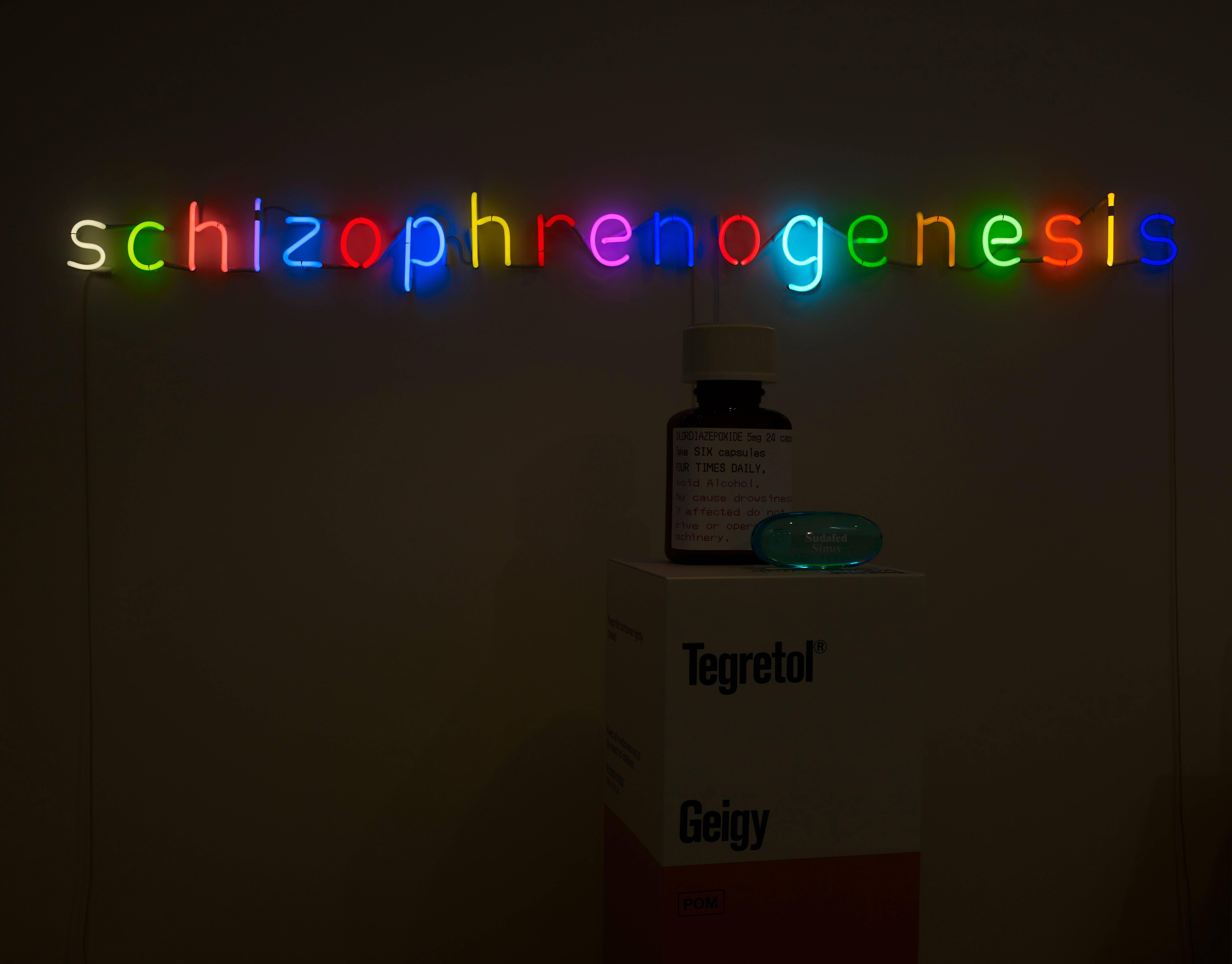 Schizophrenogenesis - Mixed Media Art by Damien Hirst