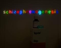 Schizophrenogenesis