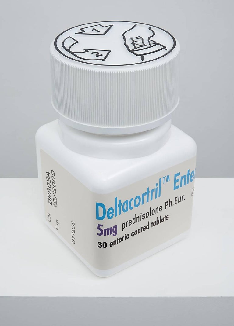 Deltacortril Enteric 5mg 30 enteric coated tablets - Sculpture by Damien Hirst