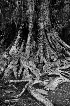 Blessing for the Trees, Schwarz-Weiß-Fotografie des indischen Künstlers „Auf Lager“