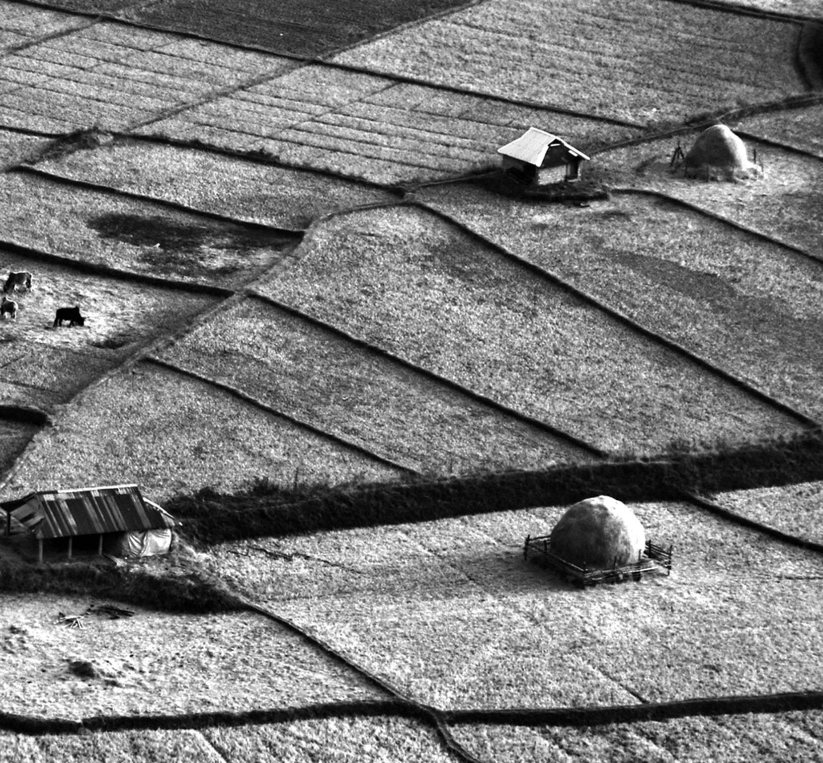 rural rural, Farming Fields, Schwarz-Weiß-Fotografie des indischen Künstlers „In Lager“ (Zeitgenössisch), Photograph, von Mohan L. Mazumder