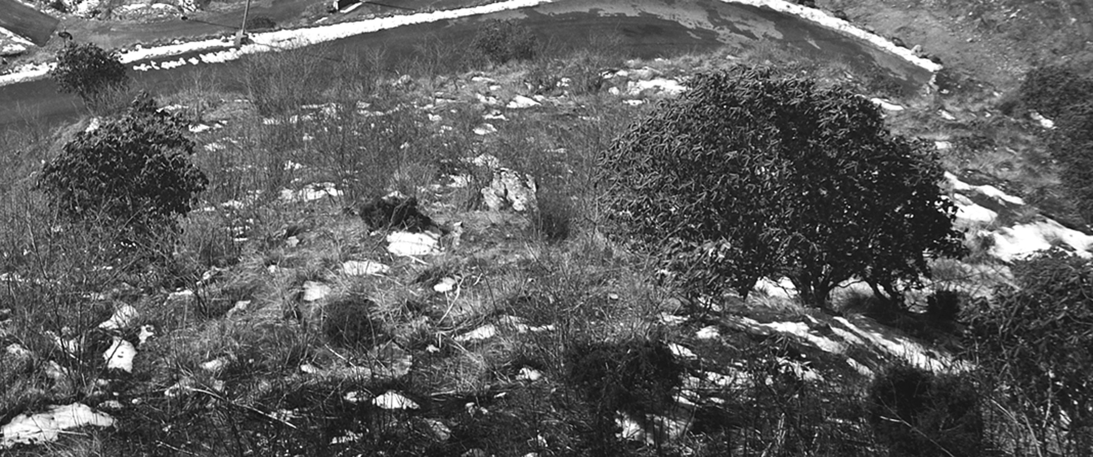 Hilly Roads Scene, Black and White Photography by Indian Artist 