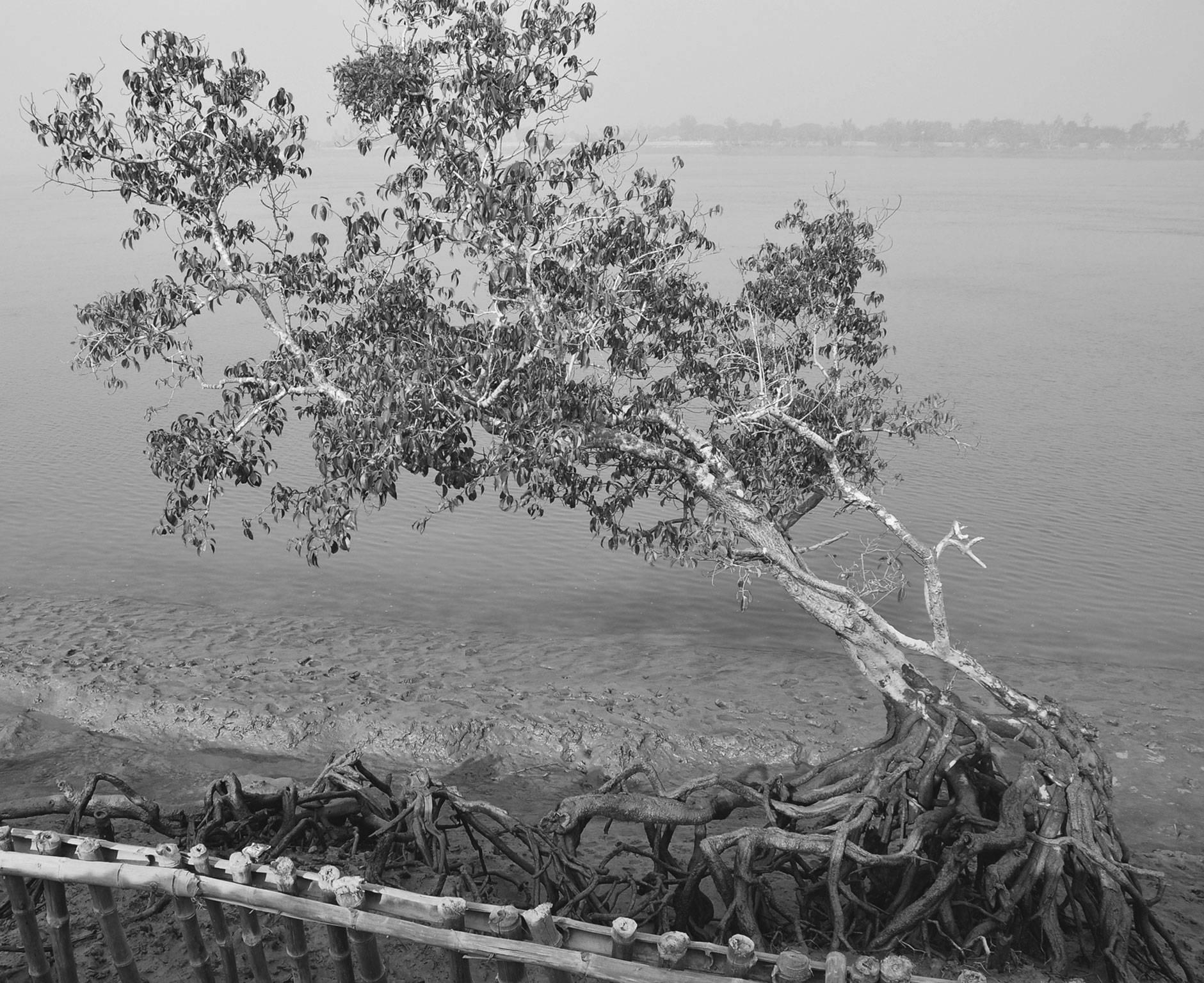Rural Scenery, Boat, River, Black & White Photography by Indian Artist