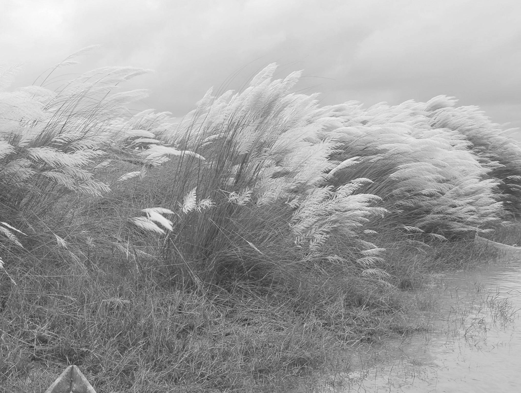 Rural Scenery, Kans Grass, Boat, Bicycle, Black & White Photography 