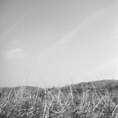 Escena de Paisaje, Fotografía en Blanco y Negro por Artista Indio " In Stock"