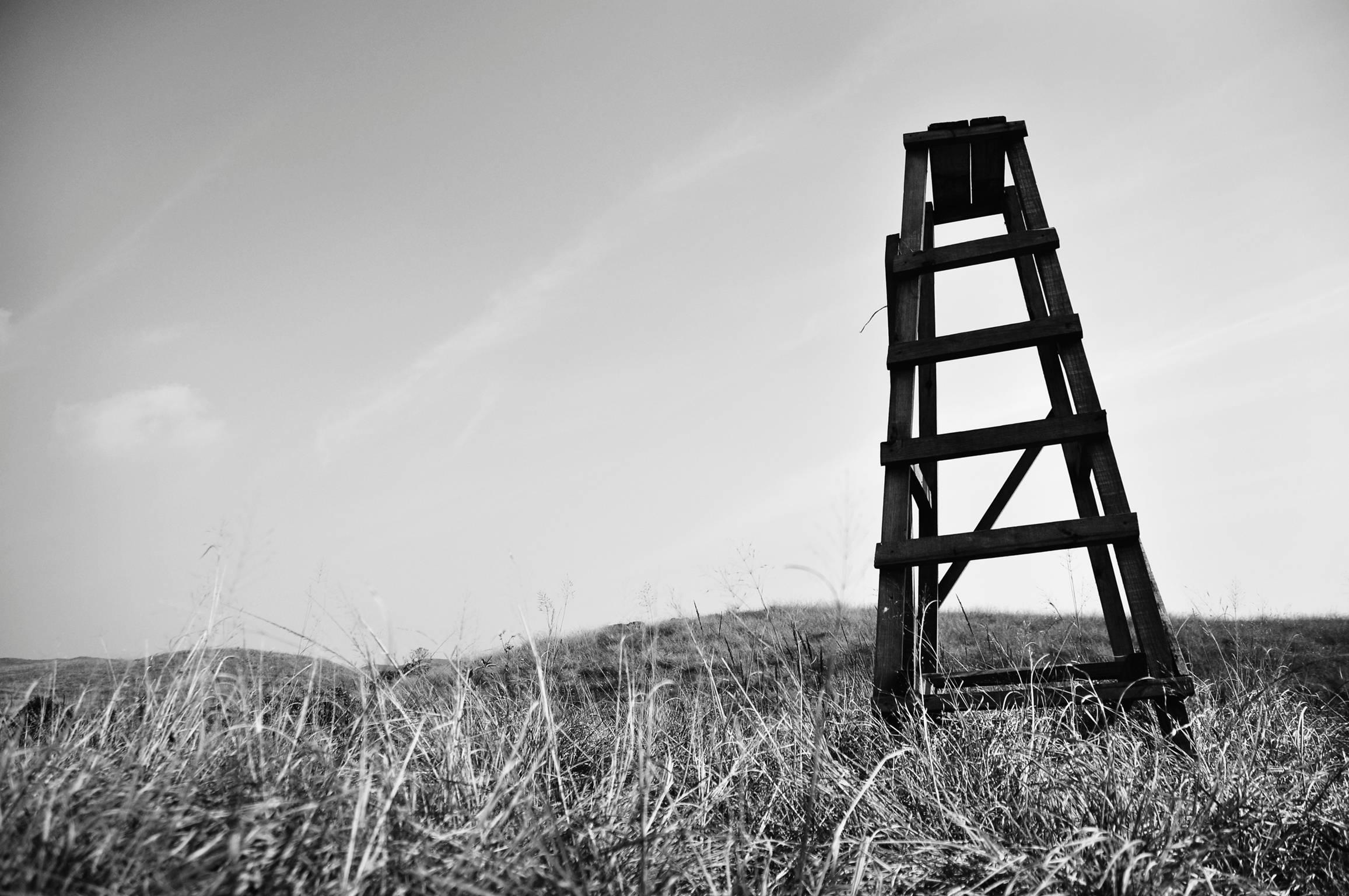 Mohan L. Mazumder Landscape Photograph - Landscape Scene, Black & White Photography by Indian Artist " In Stock"