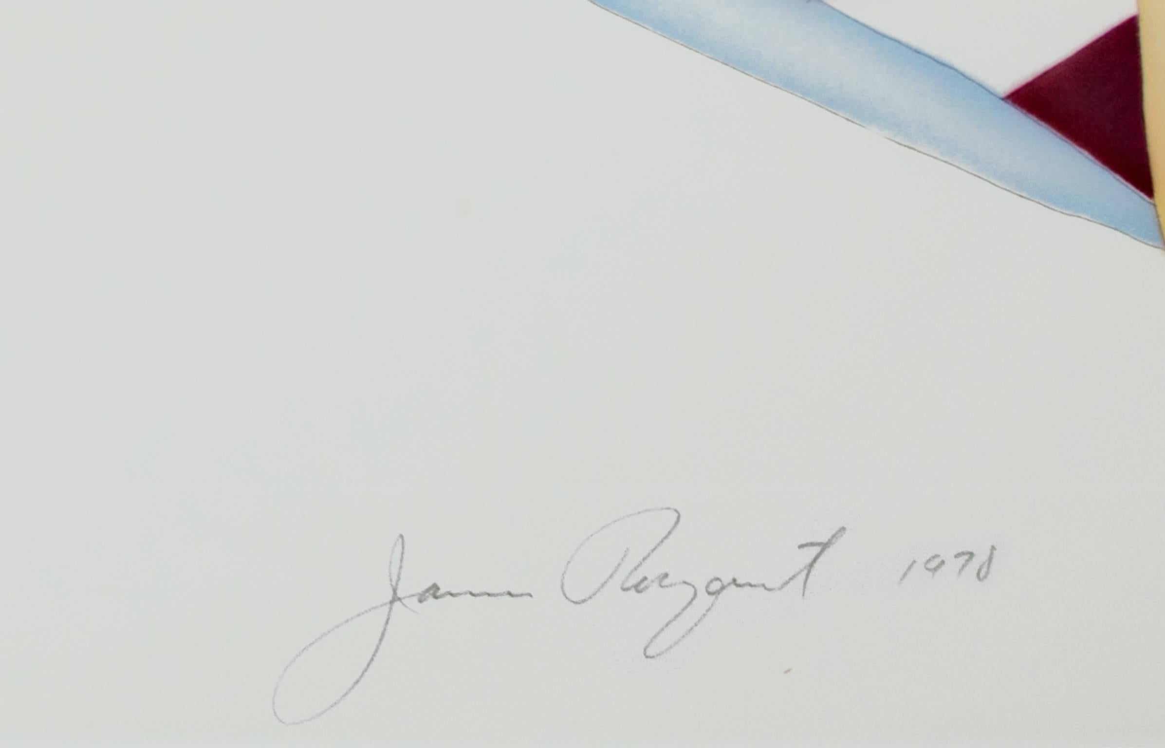 « Triangle noir en couleur », eau-forte et aquatinte signées par James Rosenquist  en vente 1