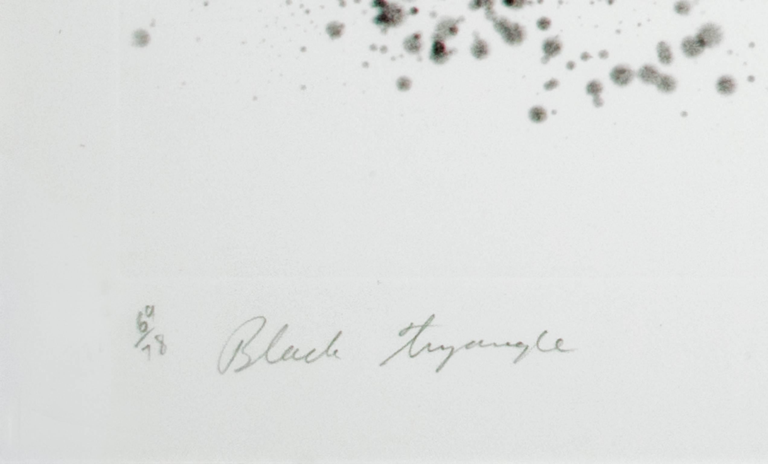 « Triangle noir en couleur », eau-forte et aquatinte signées par James Rosenquist  en vente 2
