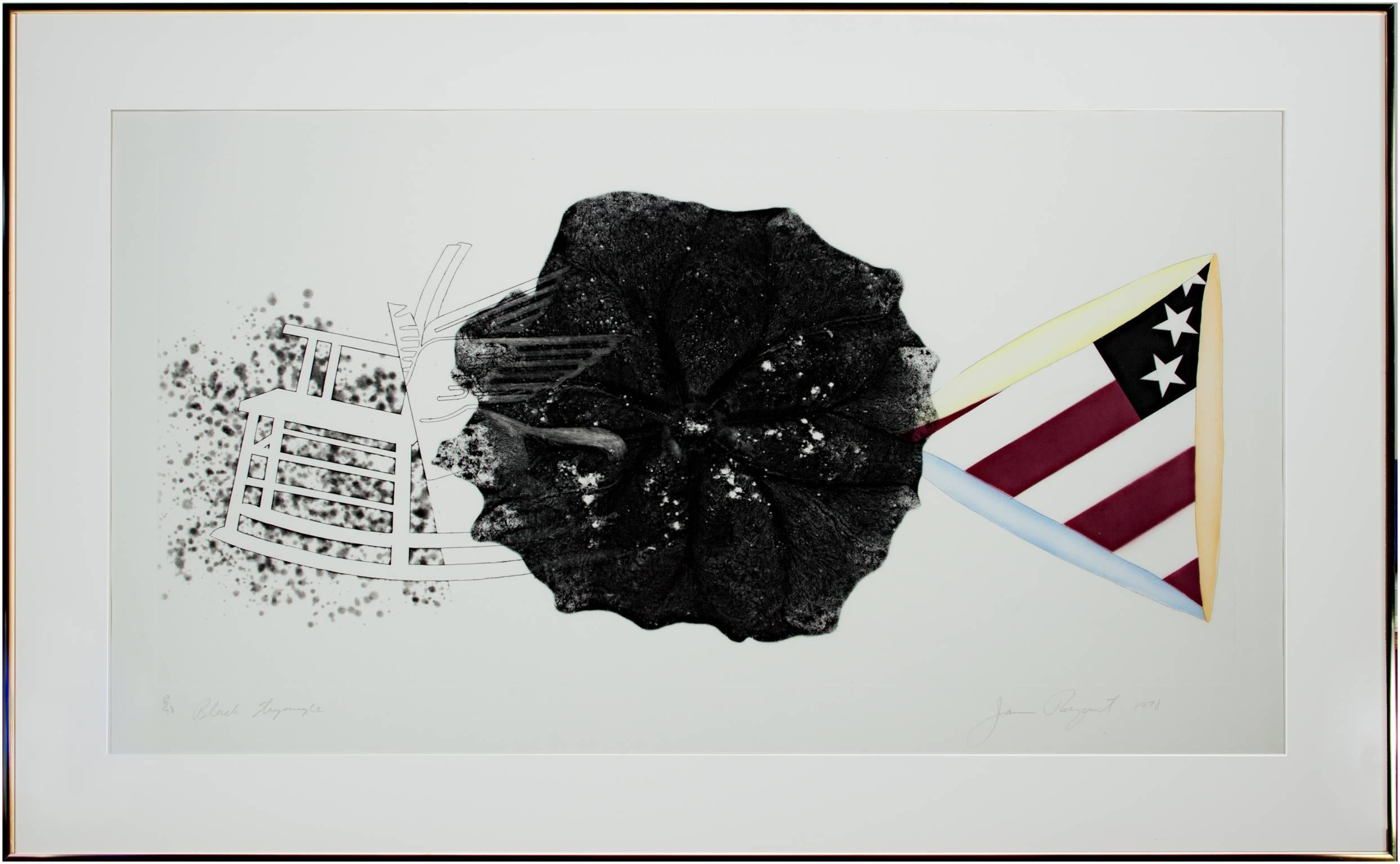 « Triangle noir en couleur », eau-forte et aquatinte signées par James Rosenquist  en vente 3