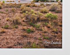 Contemporary landscape photograph building trees sky graffiti desert signed