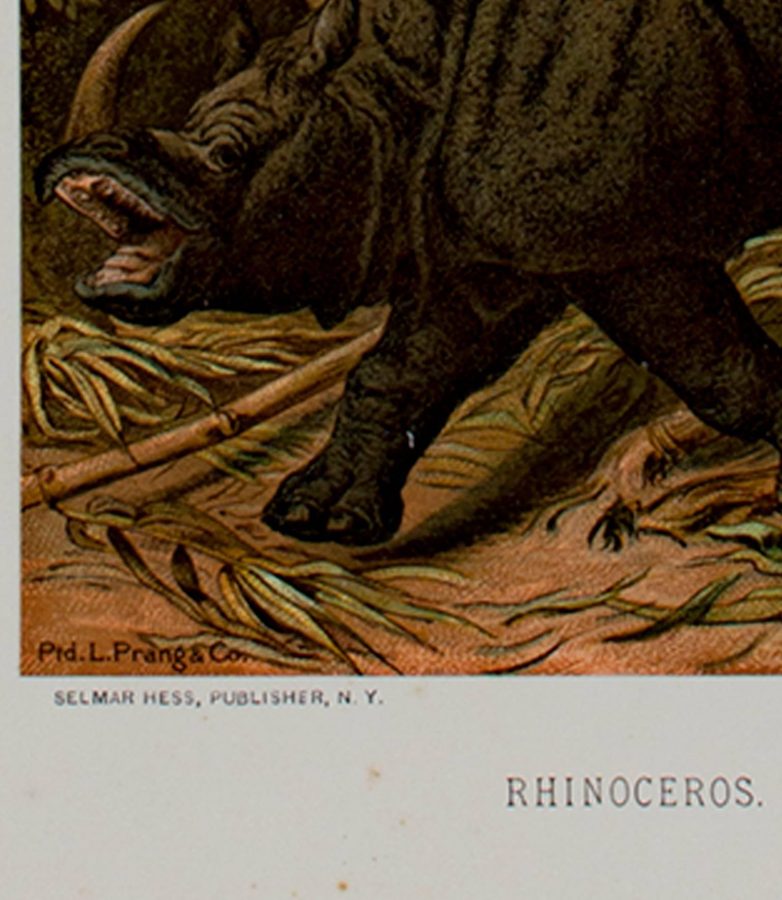 litografia a colori del XIX secolo alberi rinoceronte natura foresta animali firmata - Print di Louis Prang