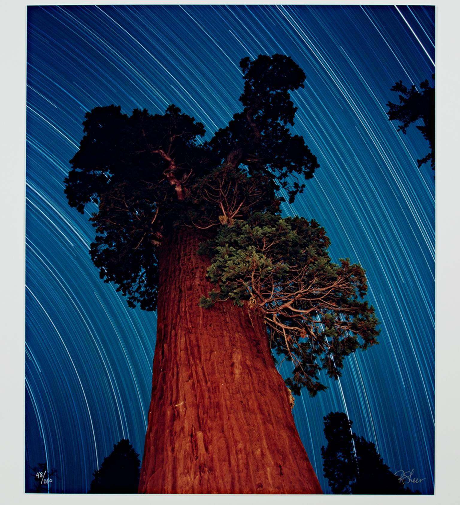 "Giant Sequoia Star Trail," a Photograph signed by Robert Kawika Sheer