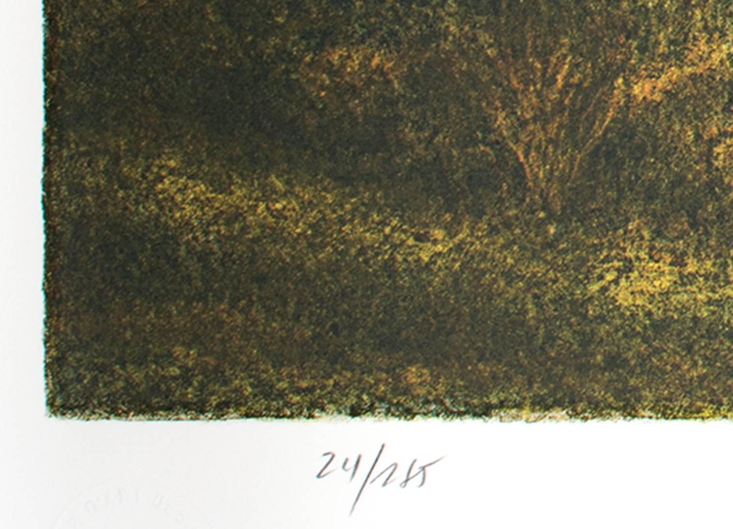 « Reflection », lithographie originale en couleur signée par Harold Altman  en vente 2