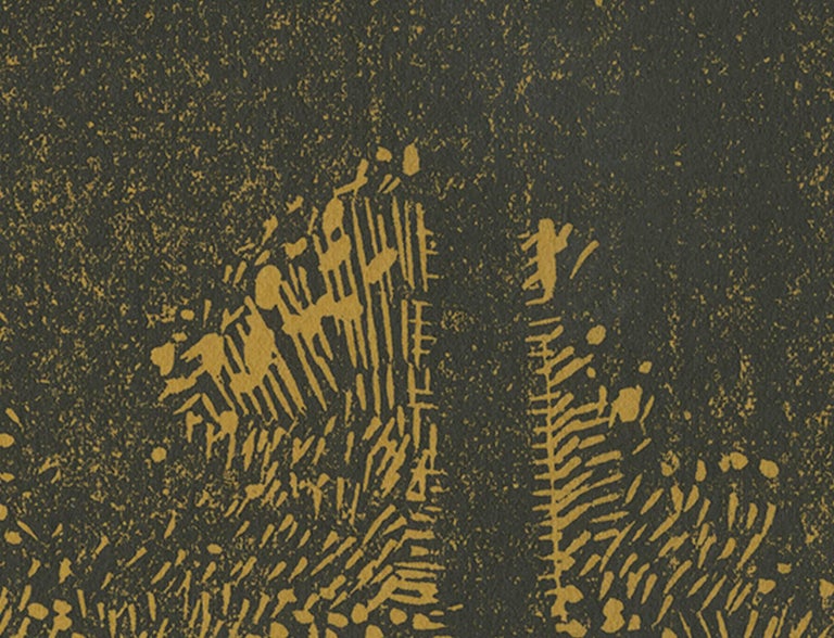 Essay for sale forest primeval image