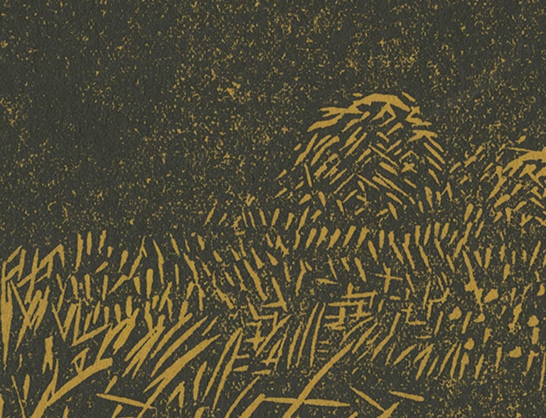 Primeval forest usa image