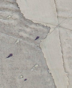 « White Wedding Tears », porcelaine et encre signées par Marjorie Mau