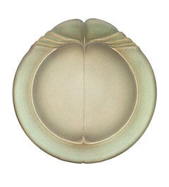 "Placa", Cermánica de Wayne Fischer