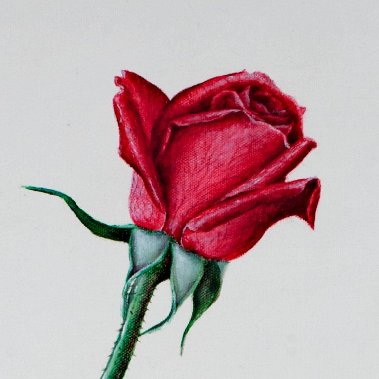 Maria Esther M. Colombier - Rosa Ignea IV (Red Rose), Painting For Sale ...